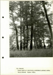 Ewidencja parkowa, skan nr 39