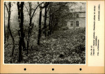 Ewidencja parkowa, skan nr 37