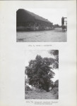 Ewidencja parkowa, skan nr 24