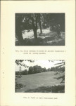 Ewidencja parkowa, skan nr 32