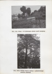 Ewidencja parkowa, skan nr 65