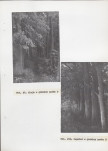 Ewidencja parkowa, skan nr 69