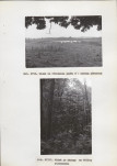 Ewidencja parkowa, skan nr 70