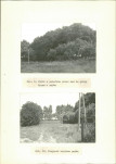 Ewidencja parkowa, skan nr 26