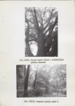 Ewidencja parkowa, skan nr 75