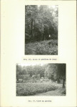 Ewidencja parkowa, skan nr 27