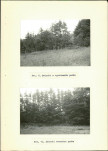 Ewidencja parkowa, skan nr 28
