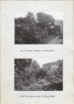 Ewidencja parkowa, skan nr 28
