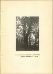 Ewidencja parkowa, skan nr 29