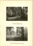 Ewidencja parkowa, skan nr 40