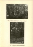 Ewidencja parkowa, skan nr 41