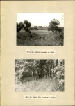 Ewidencja parkowa, skan nr 31