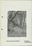 Ewidencja parkowa, skan nr 32