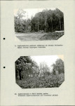 Ewidencja parkowa, skan nr 37