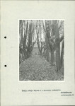 Ewidencja parkowa, skan nr 30