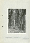 Ewidencja parkowa, skan nr 33
