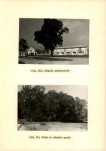 Ewidencja parkowa, skan nr 26