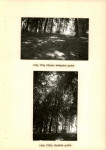 Ewidencja parkowa, skan nr 28