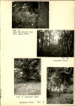 Ewidencja parkowa, skan nr 47