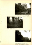 Ewidencja parkowa, skan nr 50