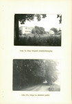 Ewidencja parkowa, skan nr 32