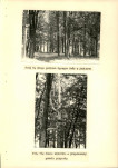 Ewidencja parkowa, skan nr 30