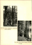 Ewidencja parkowa, skan nr 31