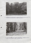 Ewidencja parkowa, skan nr 48