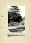Ewidencja parkowa, skan nr 23