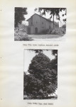 Ewidencja parkowa, skan nr 31