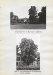 Ewidencja parkowa, skan nr 32