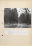Ewidencja parkowa, skan nr 31