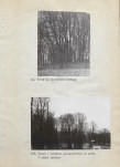 Ewidencja parkowa, skan nr 26