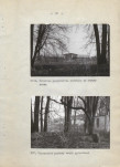 Ewidencja parkowa, skan nr 27