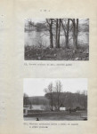 Ewidencja parkowa, skan nr 30