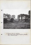 Ewidencja parkowa, skan nr 36