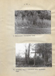 Ewidencja parkowa, skan nr 19