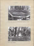 Ewidencja parkowa, skan nr 25