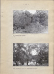 Ewidencja parkowa, skan nr 29
