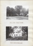 Ewidencja parkowa, skan nr 24