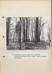 Ewidencja parkowa, skan nr 31