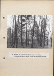 Ewidencja parkowa, skan nr 33