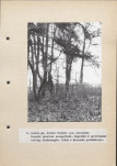 Ewidencja parkowa, skan nr 37