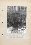 Ewidencja parkowa, skan nr 38