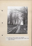 Ewidencja parkowa, skan nr 41