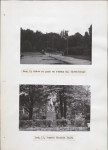 Ewidencja parkowa, skan nr 26