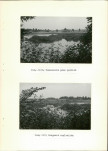 Ewidencja parkowa, skan nr 34