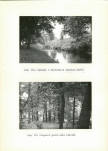 Ewidencja parkowa, skan nr 29
