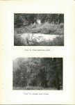 Ewidencja parkowa, skan nr 30