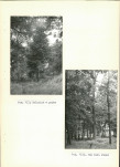 Ewidencja parkowa, skan nr 31